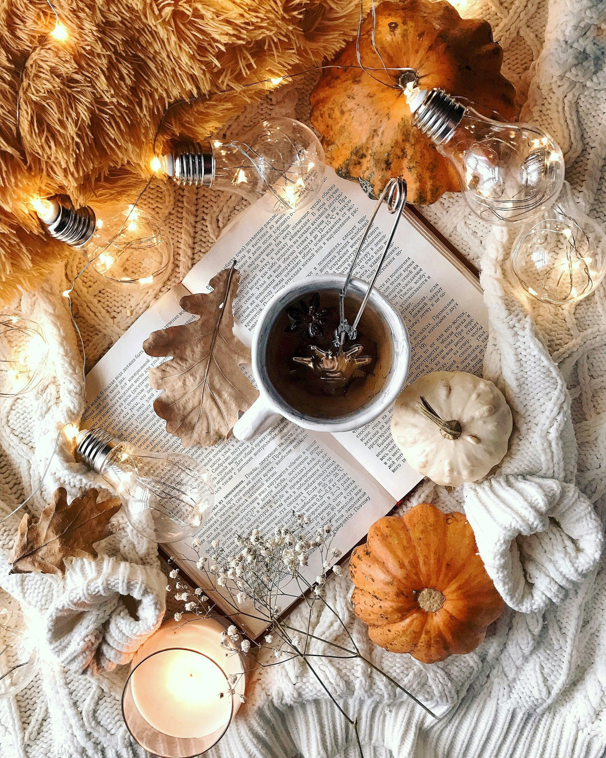 Seasonal & Featured