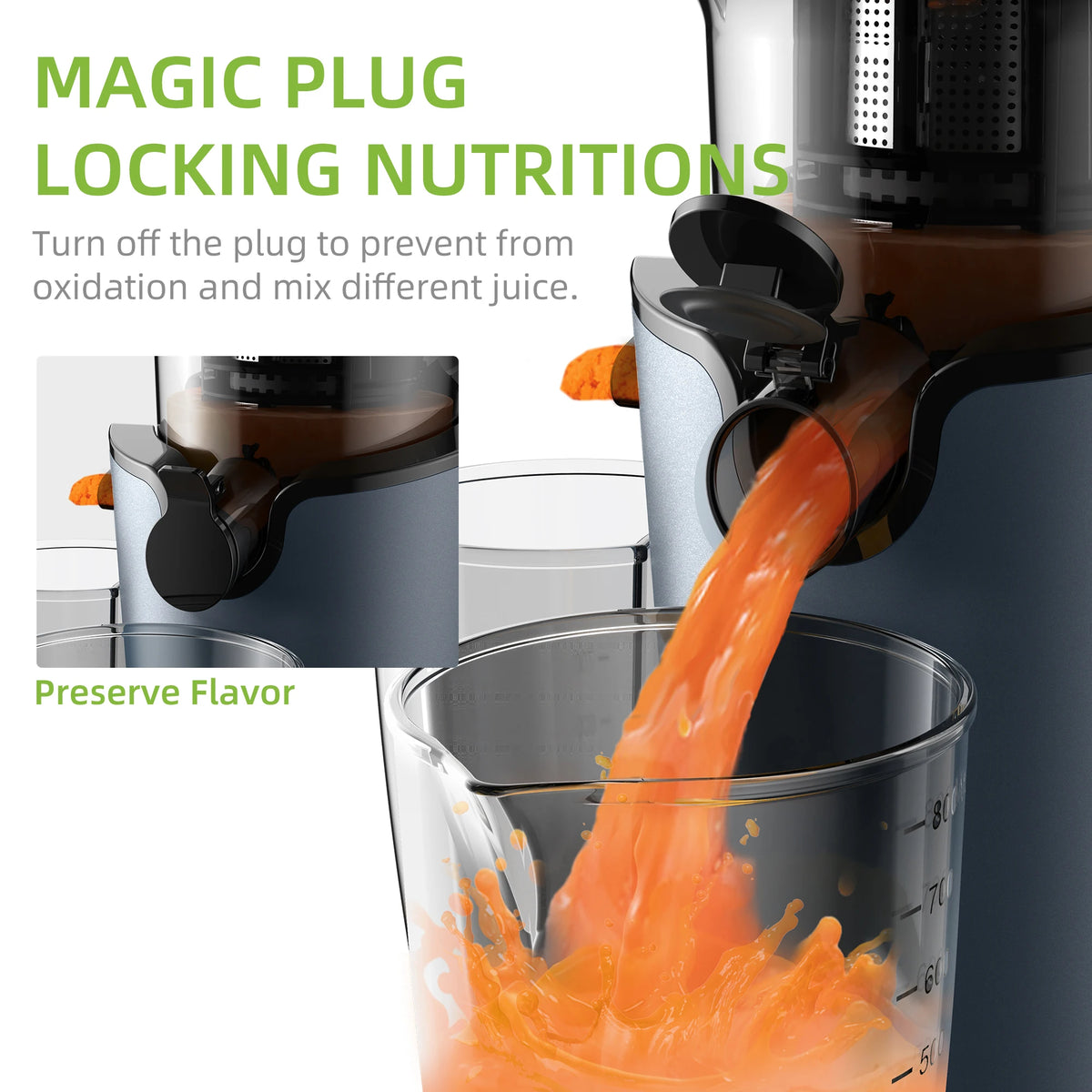 Biolomix Slow Masticating Cold Press Juicer With Powerful Motor