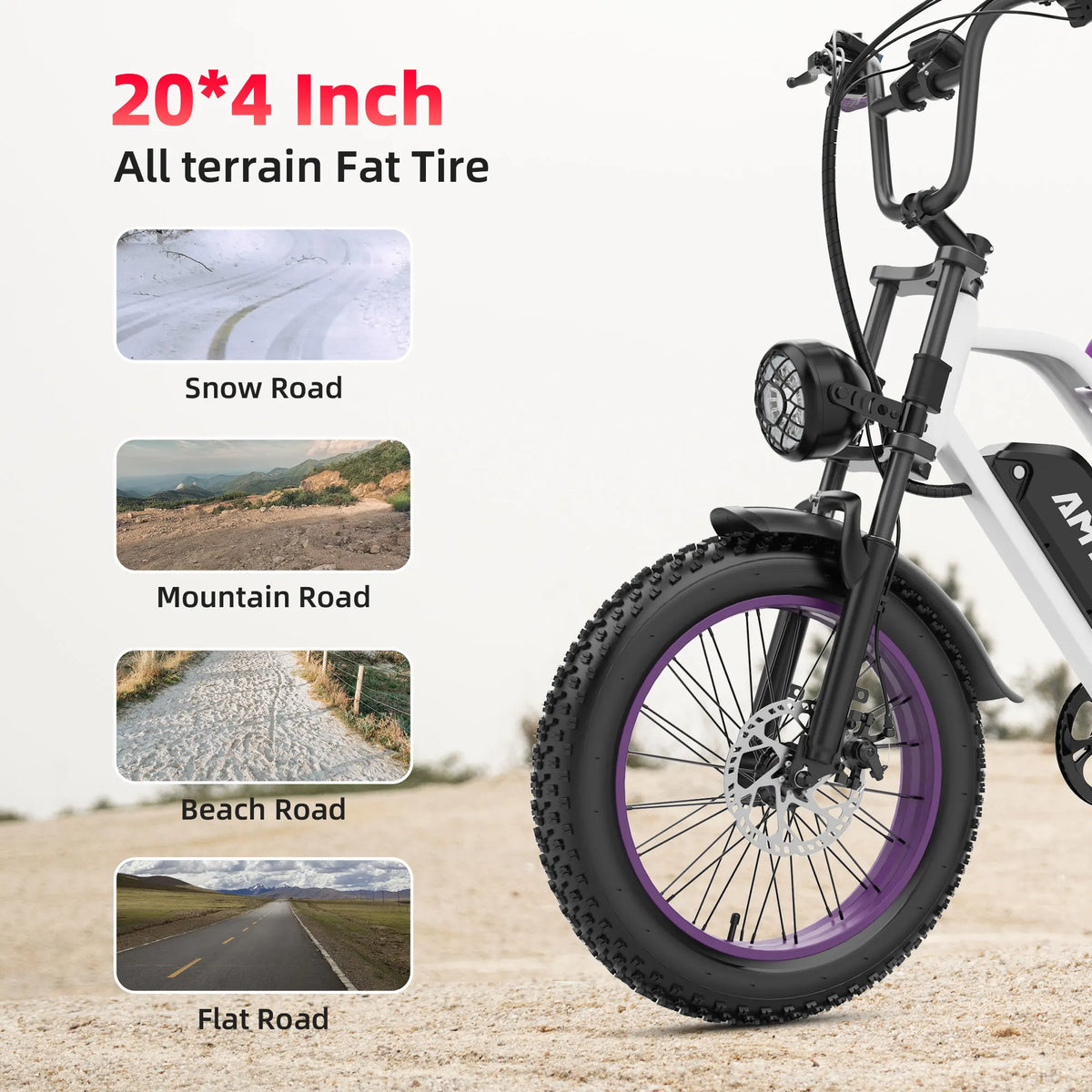 Amyet G60 1000W Electric Mountain Bike With 48V Battery