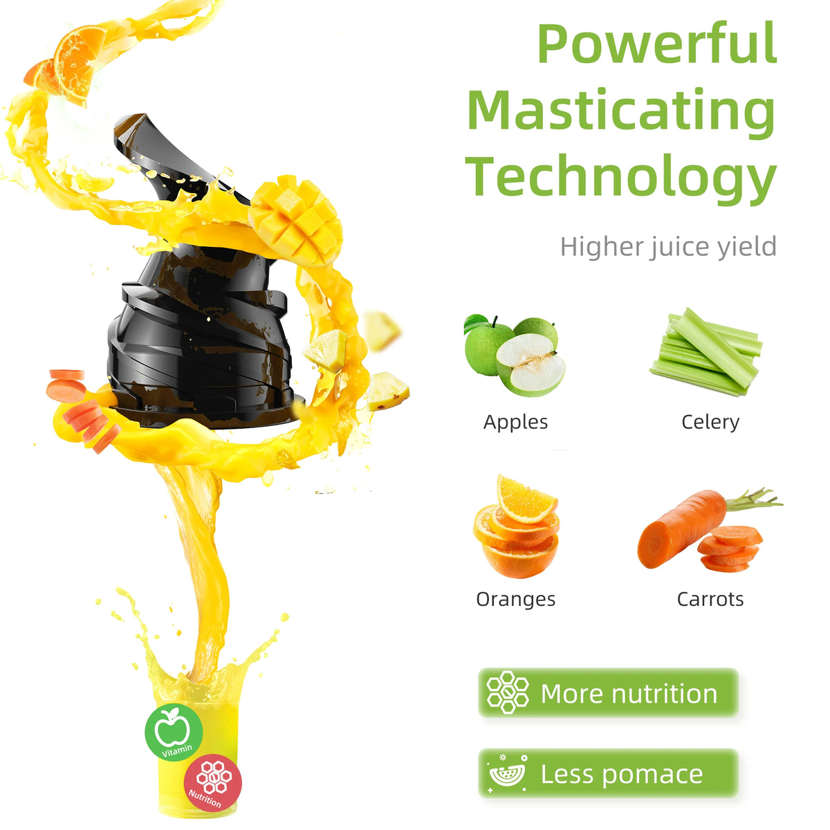 Biolomix Slow Masticating Cold Press Juicer With Powerful Motor