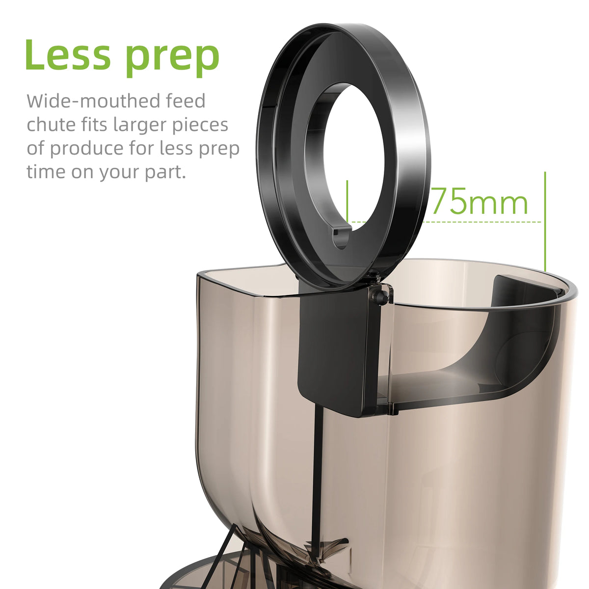 Biolomix Slow Masticating Cold Press Juicer With Wide Feed Chute