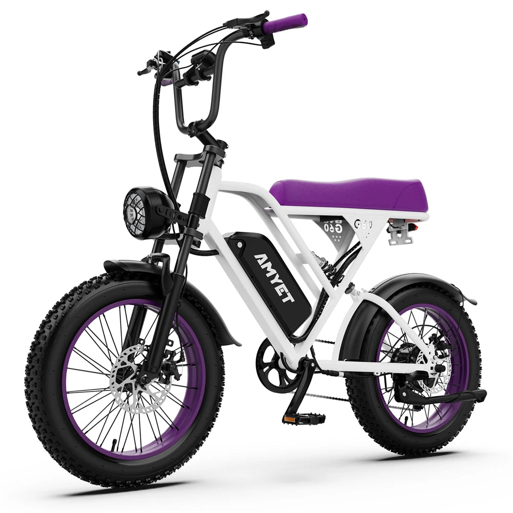 Amyet G60 1000W Electric Mountain Bike With 48V Battery