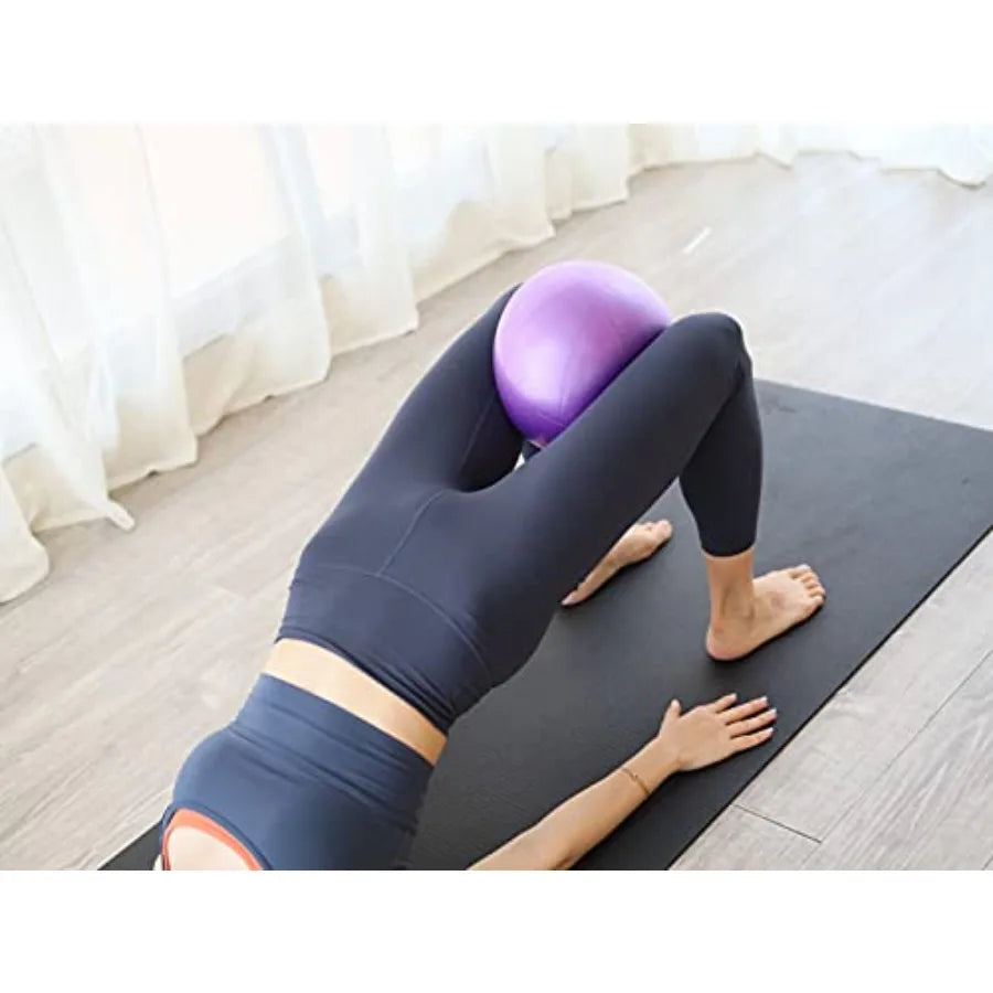 Exercise Barre Ball For Yoga Pilates Core Training And Therapy