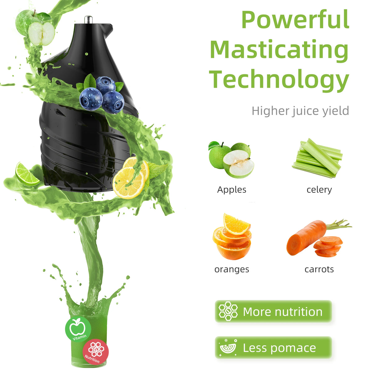 Biolomix Slow Masticating Cold Press Juicer With Wide Feed Chute
